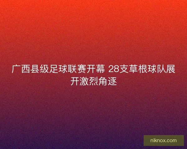 广西县级足球联赛开幕 28支草根球队展开激烈角逐