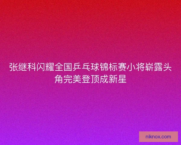 张继科闪耀全国乒乓球锦标赛小将崭露头角完美登顶成新星